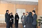 معاون آموزشی دانشگاه علوم پزشکی تهران در آستانه آغاز سال تحصیلی از دانشکده داروسازی بازدید کرد